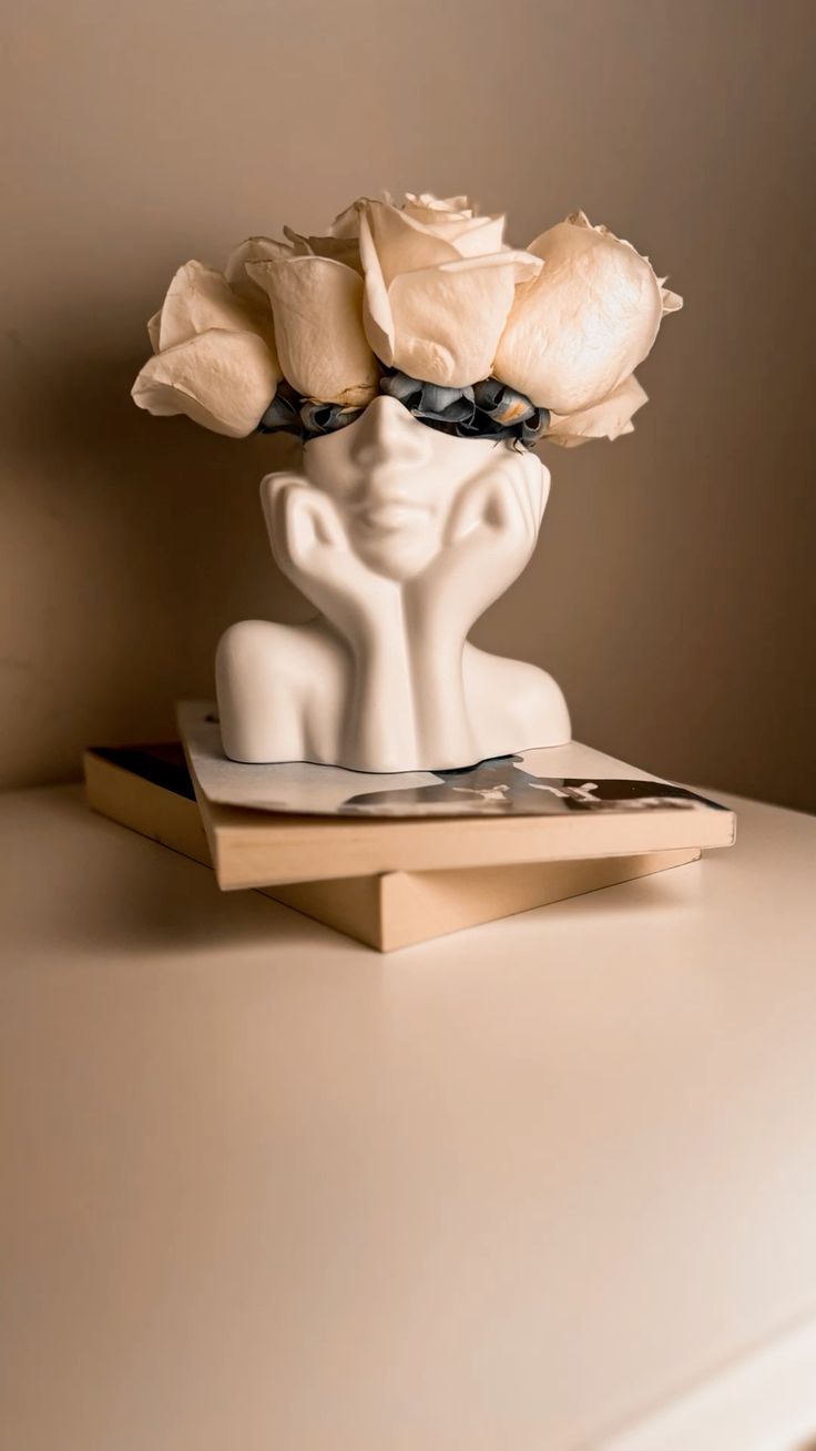 Aesthetic Face Vase