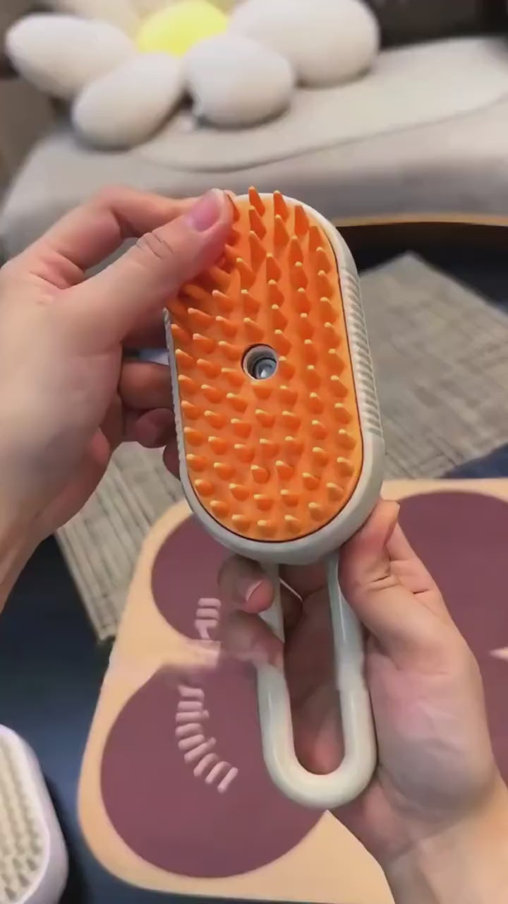 Steam Brush for Dog/Cat